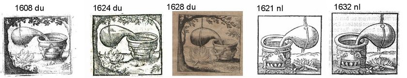 Vergel.jpg